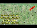 Download Lagu SUARA PIKAT Memanggil Burung Emprit Bondol Kaji Koloni
