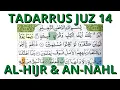 Download Lagu TADARRUS JUZ 14 [AL-HIJR \u0026 AN-NAHL] ONE DAY ONE JUZ