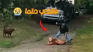 هذا الفيديو الذي ابكي العالم كله رجل يهاجم الفهد بسيف لإنقاذ كلبه اتحداك سوف تبكي حتما 