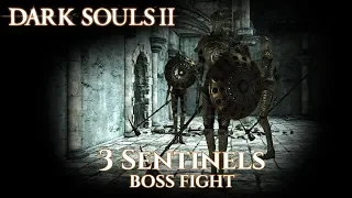 Dark Souls II Boss 3 Sentinels vs Fex Cas and Dot