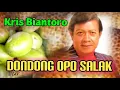 Download Lagu DONDONG OPO SALAK - Kris Biantoro