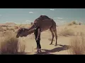 Download Lagu Lagu Syahdu Instrumen Arab | Relaxing Music Arabian Theme