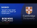 Skibidi Tradwife Delulu among 6 000 words added to Cambridge Dictionary Hand Off