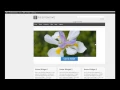 Responsive WordPress Theme Home Page Slider Google Search and Colophon Widget