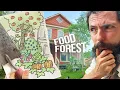 Download Lagu I turned my front yard into a FOOD FOREST in 1 year*