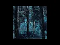 GAS aka Wolfgang Voigt -  Narkopop 9 - 2017