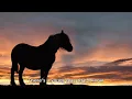 Ian & Sylvia - Some Day Soon (Lyrics) [HD]+