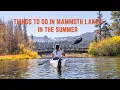 Best Things to Do In and Around Mammoth Lakes in the Summer California