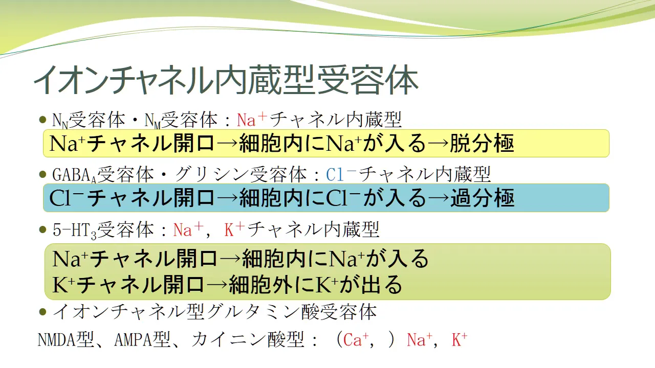【薬学生・看護学生必見】受容体<イオンチャネル内蔵型受容体> #2