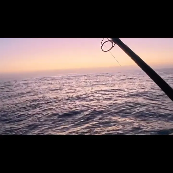 Quick twilight trip on the New Seaforth #socalfishing #sandiegofishing #sportsfishing