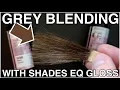Ep 4 - Blending GREY HAIR with Shades EQ Gloss FULL of HUGE tips