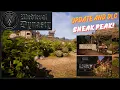 Update and DLC Sneak Peak Medieval Dynasty Plant a Tree Update Echoes of Nature DLC - Wow