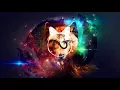Download Lagu Martin Garrix - Animals ( Hardstyle Remix )