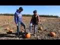An Afternoon At An Illinois Apple Orchard And A Pumpkin Patch