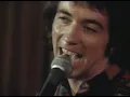 The Buzzcocks Ever fallen in love