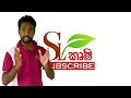 හරිම දවසට , හරිම විදියට වල් තෙල් ගහන හරිම විදිය [ Herbicide deep talk ]