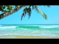 Tropical Beach Ambience | White Noise for Stress Relief, Meditation & Sleep | 10 Hours