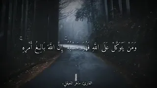 اللهم أنت حسبي في من ظلمني يارب دندنها