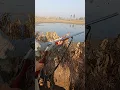 Download Lagu Duck hunting with single barrel shotgun | Duck Hunting in KPK Pakistan | Hunting with 12 gauge gun