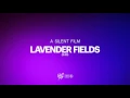 Lagu A Silent Film - Lavender Fields