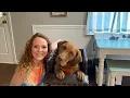 Feeding my dog with megaesophagus in his Bailey chair