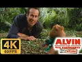 Download Lagu Alvin and the Chipmunks: Chipwrecked (2011) - Dave Saw Simone \u0026 Theodore [4K/60FPS]