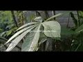Download Lagu Story wa cinematic aesthetic Dere kota + Lyrics