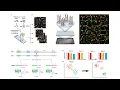 Summer Virtual Training in Bioinformatics and Data Science