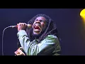 Download Lagu Chronixx and Zinc Fence 'Skanking Sweet' SNWMF June 16 2017