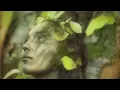 Dance of Life: Relaxing Celtic Music for Meditation & Sleep by Peder B. Helland