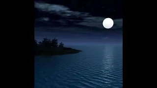 موسيقى في هويد الليل 