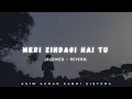Lagu Meri Zindagi Hai Tu - Ost ( Slowed Reverb )  ( LOFI MIX )- Asim Azhar - Sabri Sisters