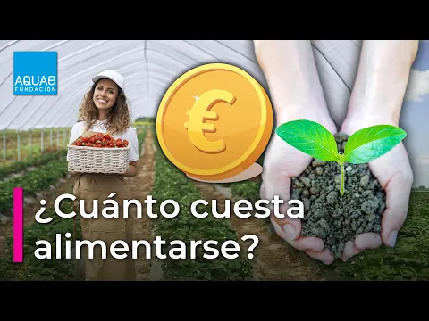 Download MP3 El Coste de la PRODUCCIÓN de COMIDA: ALIMENTACIÓN Sostenible y Desperdicio