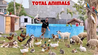 Mini Zoo Main Total Birds Or Animals Kitna Hai Aj Pata Lg Gea😍