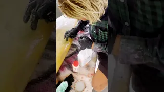 The surfboard repair man – always learning! 🔨  #sailingfamily #srilanka #surf