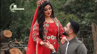 أجمل أغاني كردية للعشاق2025 تو غزالة عفرينة 