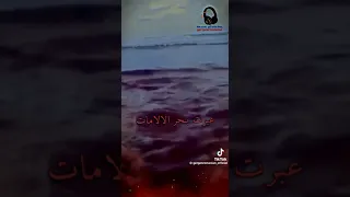 ام الشهداء جميلة ام الشرفاء نبيلة دندنها