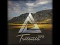 Healing Forest (Tritonia 373)