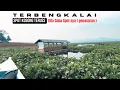 Download Lagu SPOT KOSONG TERUSS  !! BUAT PENASARAN - MANCING MANIA