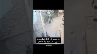 جن مسخر في شكل قطة سواء لحرق جانب منزلة وآلله أعلم 