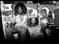 Lagu The Congos - Don't Blame On I