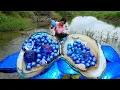 Download Lagu 😱🎁💎A giant blue clam with a desirable blue pearl gemstone, extremely beautiful