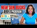SUN BUCKS NEW 120 SUMMER EBT PROGRAM NEW CARD HOMESCHOOL NEW RULES WATCH THIS 2024