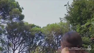 أغنية هي الحياة كده ليه   حب أعمي دندنها
