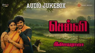 Selvi Hi-Res Songs Jukebox | Ilaiyaraaja | Suresh | Revathi | Radha Ravi | Vaali