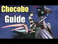 Ultimate Chocobo Guide - For Beginners Evercold Preparation Patch 7 5