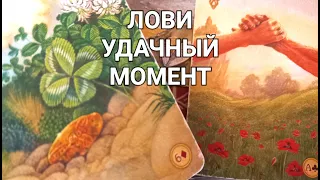Крутой разворот 🪙 неделя с 14.09 по 20.09 ✨ Новые желания ☘️ Таро прогноз гадание знаки Судьбы