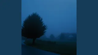 You Were In My Dreams 