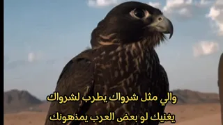الوقت هذا وقت حظك ومخباك  وإن زاد مالك كل ربعك يبونك دندنها