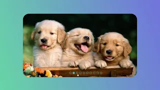 Slideshow java